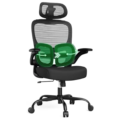 Ergonomic Office Desk Chair, Adjustable Dual Lumbar Support & Thick Seat