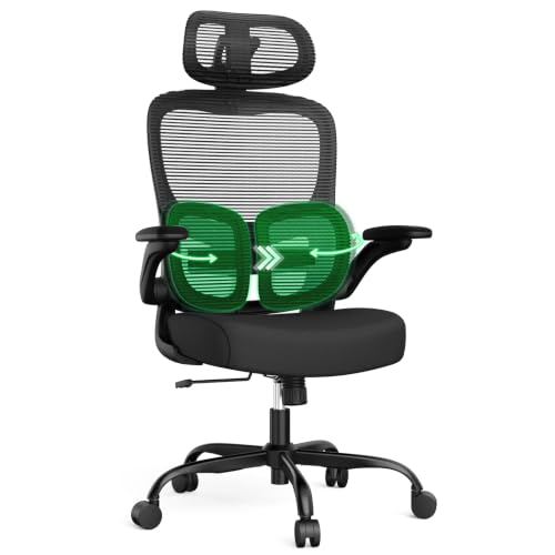 Ergonomic Office Desk Chair, Adjustable Dual Lumbar Support & Thick Seat