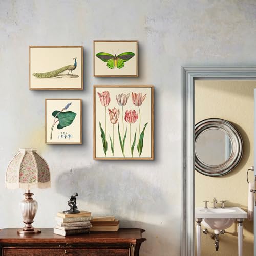 crmotu Vintage Framed Wall Art, Green Peacock Canvas Art Prints, Animal Bird Rustic Home Decorations, Classical Still Life Aesthetic Pictures, Neutral Wall Decor for Kitchen Bedroom Desktop, 9x11inch