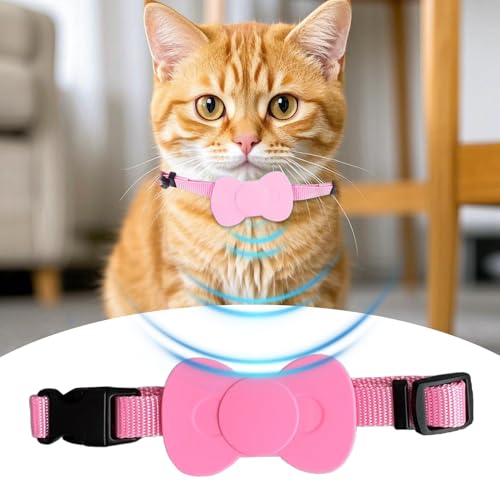 Collar GPS para gato para cuidar a tu mascota con amor y tranquilidad 4