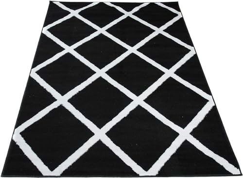 Image of AROMICK Modern Polyester Anti Slip Shaggy Fluffy Rug and Carpet for Living Room, Bedroom & Dining Room (4 x 6 Feet, Black Ivory Box)