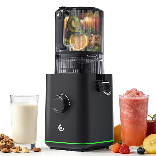 VANDISELL 3-in-1 Cold Press Juicer with Wide Feed