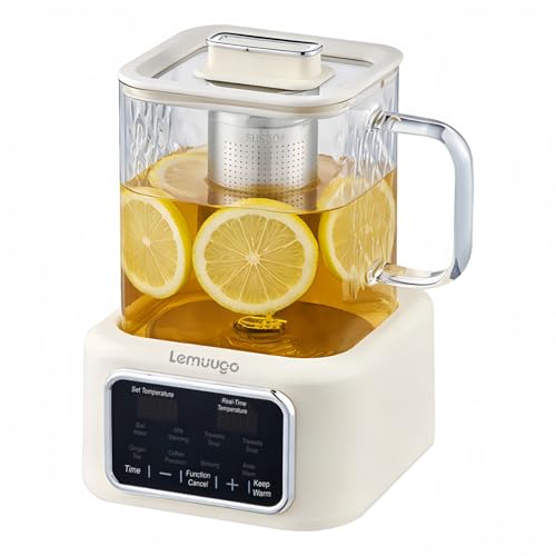 Tetera eléctrica de vidrio 1L con infusor y control digital miniatura 1