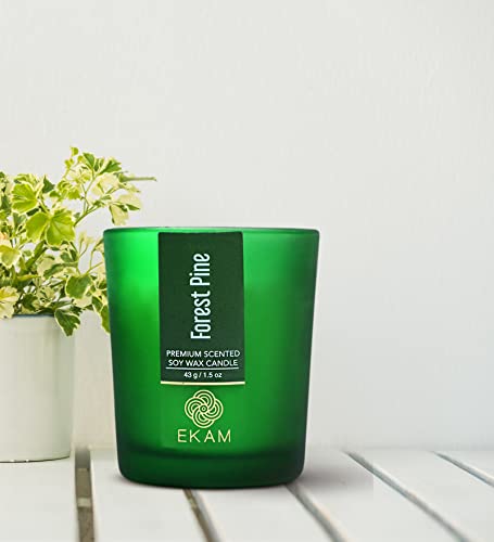Image of EKAM Forest Pine Votive Soy Wax Scented Candle, 40 Grams, 10 Hours Burn Time| Long Lasting Premium Candles | Ideal for Home Decor | Gifting & Aromatherapy (Pack of 12)