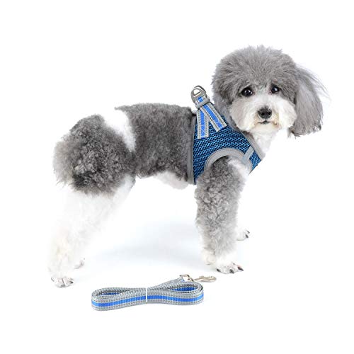 Zunea Conjunto de coleira e coleira para cães pequenos, sem puxão, refletivo, para filhotes, gatos,