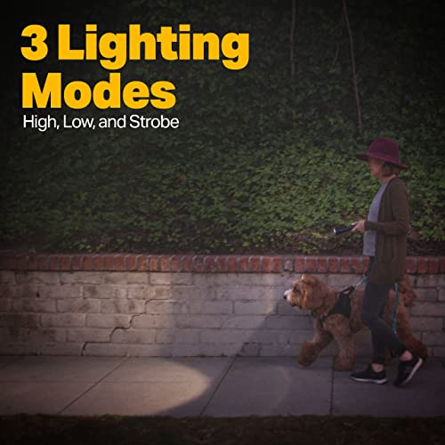 Luxpro 300 Lumen Led Handheld Flashlight - Feature Enhanced Rubber Grip And Aircraft-Grade Aluminum - Pocket-Sized Camping Accessories With Wrist Lanyard - Batteries Included #TOP2