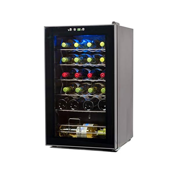 BLACK+DECKER 24 Bottle Wine Fridge with LED Display, Compressor Cooling Wine Cooler Refrigerator with Interior Light, Temperature Controlled Wine Bottle Chiller with Fridge Wine Rack