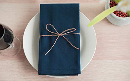 Amour Infini Cotton Napkins | 12 Pack | 18 X 18 Inch | 100% Ring Spun Premium Cotton | Perfect For Restaurants, Events And Dinner Napkins | Highly Absorbent Cloth Napkins | Blue #TOP4