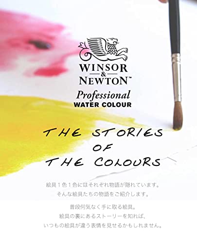 Windsor & Newton Artists Water 5Ml Tube 12C Set (Japan Import) #TOP1