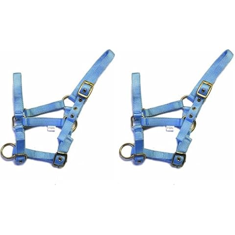 Rhinegold Nylon Foal Headcollar - Baby blue Cover