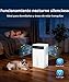 Imagen de Mini Deshumidificador Eléctrico 2600ML