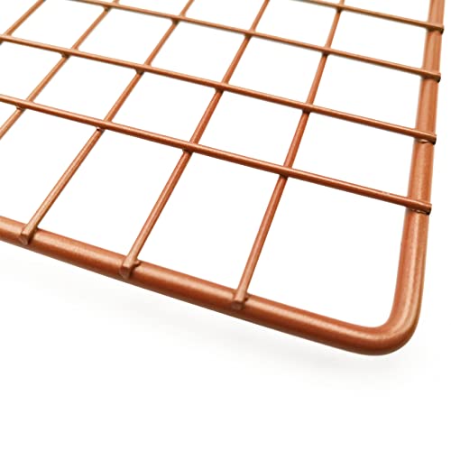 foxwelkin Baking Rack Cooling Rack,Size 10\"x 16\" Oven & Grill Cool Cookies Cakes Breads Heavy Duty Commercial Quality Wire Cooling Rack (2 pack)