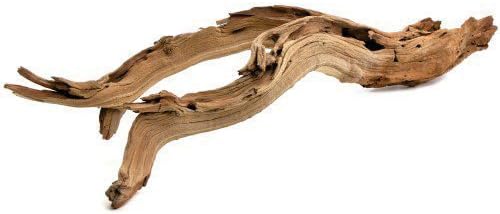 Koyal Wholesale 18 Driftwood Terrarium Decor, Clean California Manzanita Drift Wood Reptile Decor, Driftwood Decor for Home, Desert Reptile Supplies, Small or Large Driftwood Branches for Reptiles