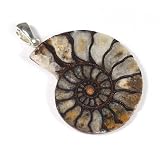 Ammonit-Fossils-Anhänger aus 925er Silber, ca. 30–35 mm