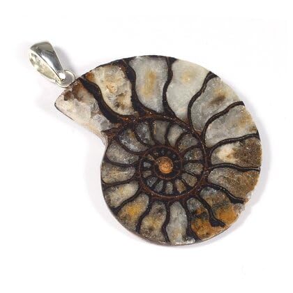 CrystalAge Ammonite Fossil 925 Silver Pendant ~30-35mm