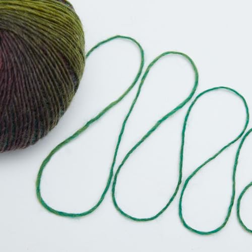 Image of NICEEC 2 Skeins Rainbow Soft Yarn 100% Wool Gradient Multi Color Yarn for Crocheting Knit Total Length 180mx2(196ydsx2,50gx2)-13#