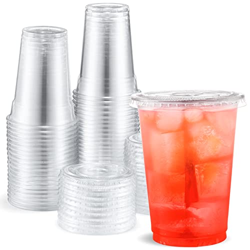 Eupako 10 oz Plastic Cups with Lids 100 Sets Disposable Clear Cups with Lids Cold Drink Containers for Beverage Parfait Smoothie
