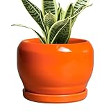 SQOWL Ceramic Plants Pots - 6 Inch Planter Indoor with Drainage Hole and Plant Saucer, Modern Round Planter Outdoor, Decorative Succulent Pot, Home Decor, Housewarming Gifts, Orange