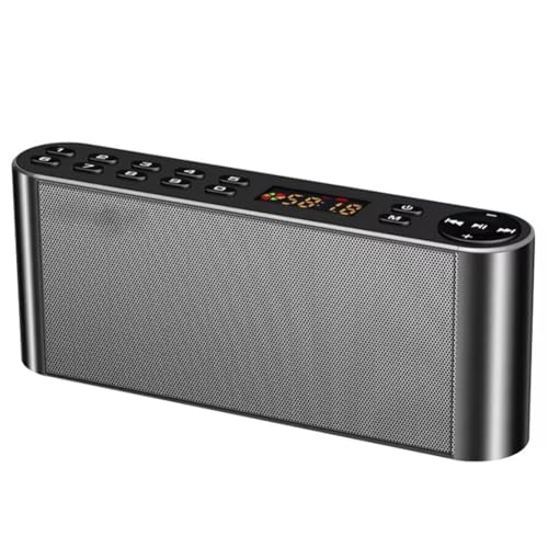 Haut-parleur en acier robuste avec microphone sans fil et USB