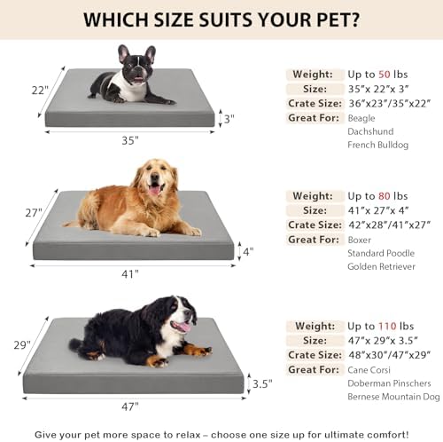 LEXTRO Indestructible Chew Proof Dog Bed for Aggressive Chewers - 5