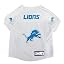 Detroit Lions