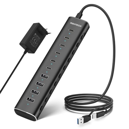 RSHTECH 10 Ports Hub USB C Alimenté avec Ports USB 3.2 10Gbps(6C+4A)