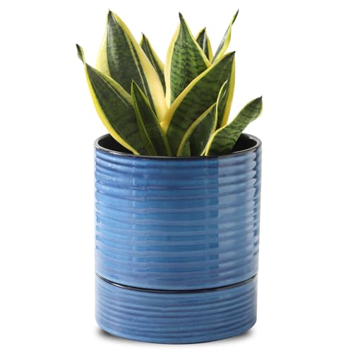 Hasense 8-Inch Self Watering Plant Pot