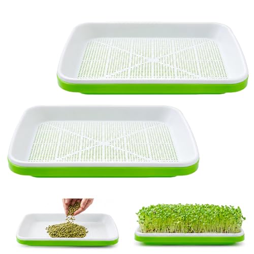 Lot de 2 bols de culture de cresses - Pour pousses - Micro Greens