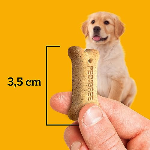 PEDIGREE Biscoito Pedigree Biscrok Para Cães Filhotes 300 G
