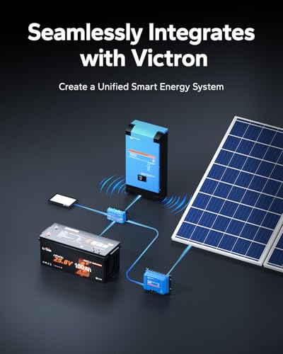 Image of LiTime 24V 100Ah Lithium Battery Compatible with Victron Energy, CAN /RS485 Communication, Bluetooth 5.0, Low-Temp Protection, 4000+ Deep Cycle, for RVs, Off-Grid, Home Energy Storage