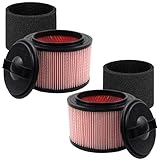 Aolleteau 2 Pack Fine Dust Cartridge Filter Compatible with Vacmaster VF408, VF410P, Wet/Dry Vac Beast VFB511B 0201 and Cleva Industrial VF408B (2 Pack Vacuum Filters and 2 Pack Foam Filters), RED