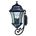 Vaxcel T0302 13" Outdoor Wall Light