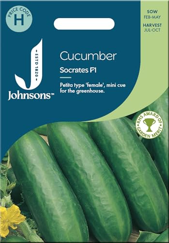 Johnsons Cucumber Seeds 'Socrates F1'