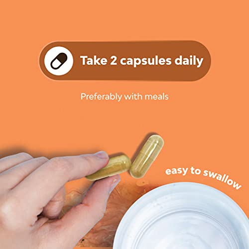 Bundle Of Herbal Thyroid Support Complex And High Absorption Magnesium Complex - Mood Enhancer Energy Supplement For Thyroid Health - With Magnesium Oxide For Sleep Stomach Digestion And Mood Support #TOP7