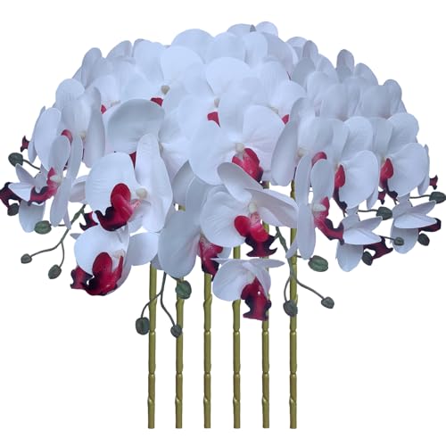 FagusHome 32 Inch Artificial Phalaenopsis Flowers 6 Pcs Artificial Orchid Flowers Stem Plants for Home Décor (Pure White)