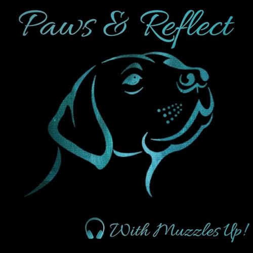 EP13: Thresholds and Management in Reactivity