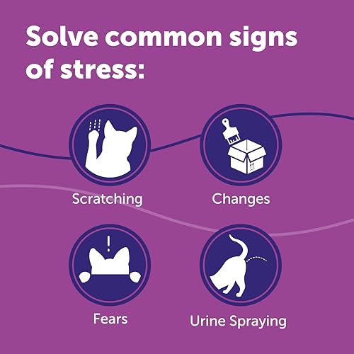 FELIWAY Classic 3 x 30 Day Cat Calming Odourless Refills for Pheromone Diffuser, 3 x 48ml - Helps Solve Common Signs of Stress in Cats & Kittens, Veterinary Recommended, Drug-free, Clinically Proven - Image 6