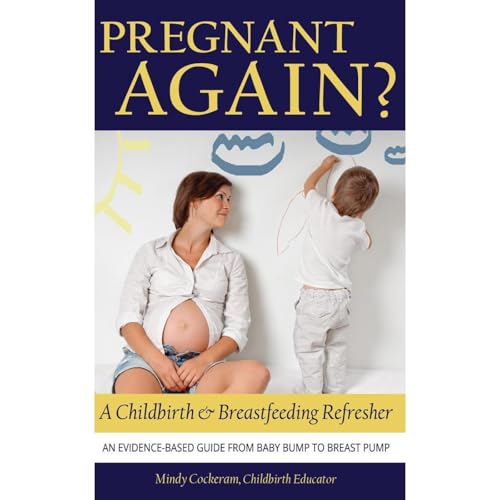 Pregnant Again? A Childbirth &amp;amp; Breastfeeding Refresher by Mindy Cockeram episode artwork