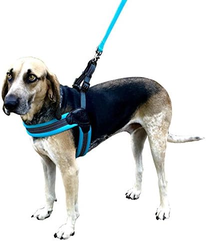 one step dog harness