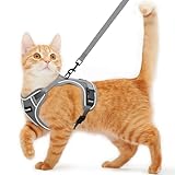 Cat Harness and Leash for Walking Escape Proof Soft Adjustable Cat Leash Breathable Comfortable Vest Easy to Wear Kitten Harness for Outdoor Travel