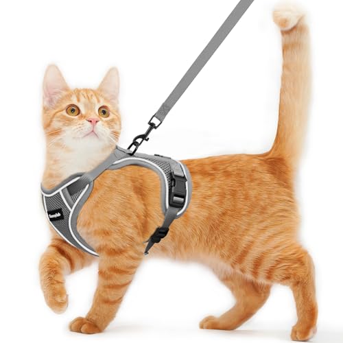Cat Harness and Leash for Walking Escape Proof Soft Adjustable Cat Leash Breathable Comfortable Vest Easy to Wear Kitten Harness for Outdoor Travel