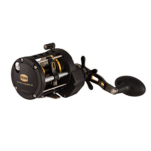 Penn Fishing Fthii30Lw Spinning Rod & Reel Combos, Black Gold (1481311) #TOP1