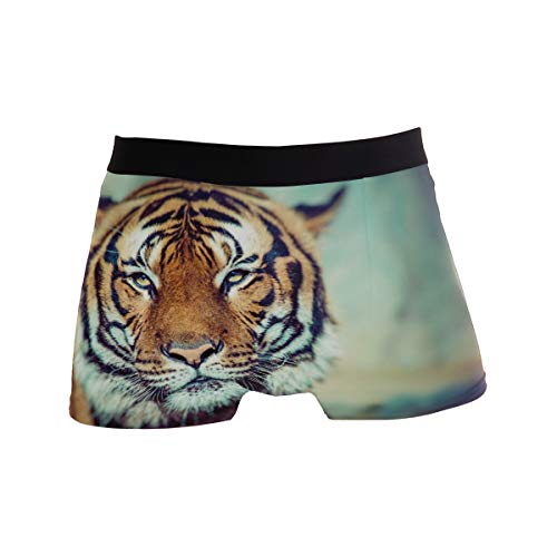 ZZKKO Tiger Mens Boxer Briefs Underwear Breathable Stretch Boxer Trunk With Pouch XL Green