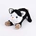 Habibi Plush Classic - 1828 chat noir / blanc avec garniture de grains de millet, animal en peluche chauffant pour chauffer au micro-ondes / four