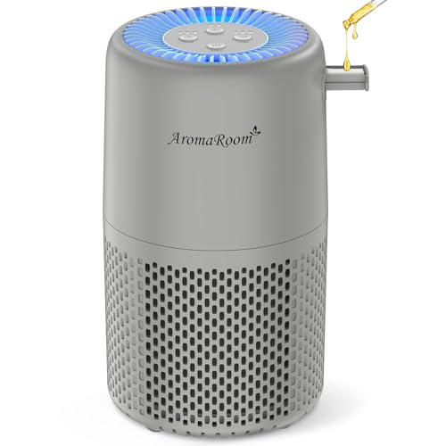 Air Purifier for Home Bedroom, AromaRoom H13 HEPA Air Filter For Smoke Pollen Dander Hair Smell Air Cleaner, 3-in-1 Filter with Sleep Mode, Quiet Air Cleaner For Pets, Home, Baby Room (Grey, AP103)
