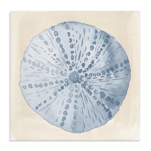Nautical Sea Life Round Shell, 17 x 17 Inch Canvas Wall Art