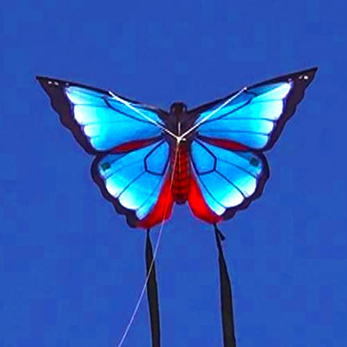 Windnsun Butterfly Nylon Kite, Karner Blue, 32 Inches Wide #TOP5