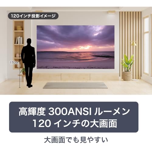 FaCLOSS ブルーレイ対応プロジェクター