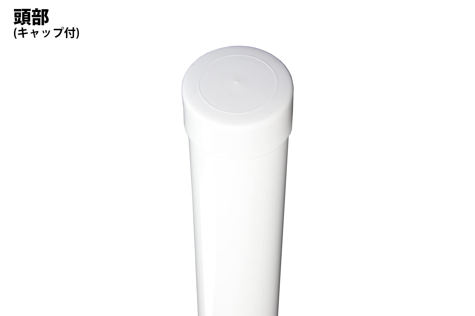 ガブさん専用 ソテツ 約1.1メートル 白色鉢10号 ガブさん専用 ソテツ 約1.1メートル 白色鉢10号 ソテツ（10号