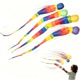 4 Pezzi Palline con Coda Arcobaleno, Palle Cometa, Rainbow Tail Ball, Morbide Palle da Lancio e Presa per Giovani dai 14 Anni e Adulti, Allenamento Outdoor e Indoor, Palla Cometa Arcobaleno